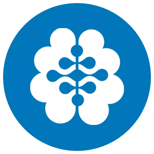 Brain Icon
